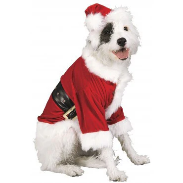 Pets Santa Claus Costume