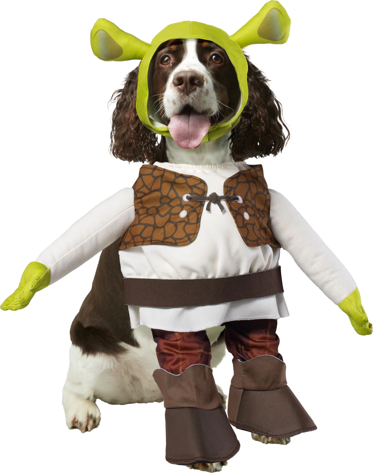 Pets Shrek Costume
