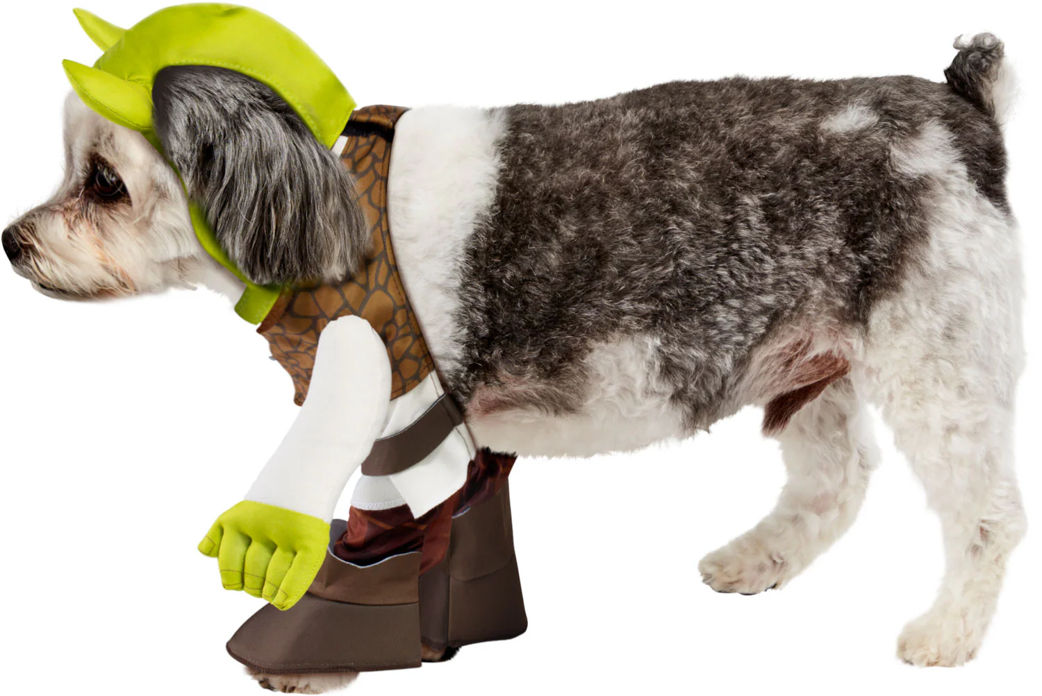 Pets Shrek Costume - Image 2