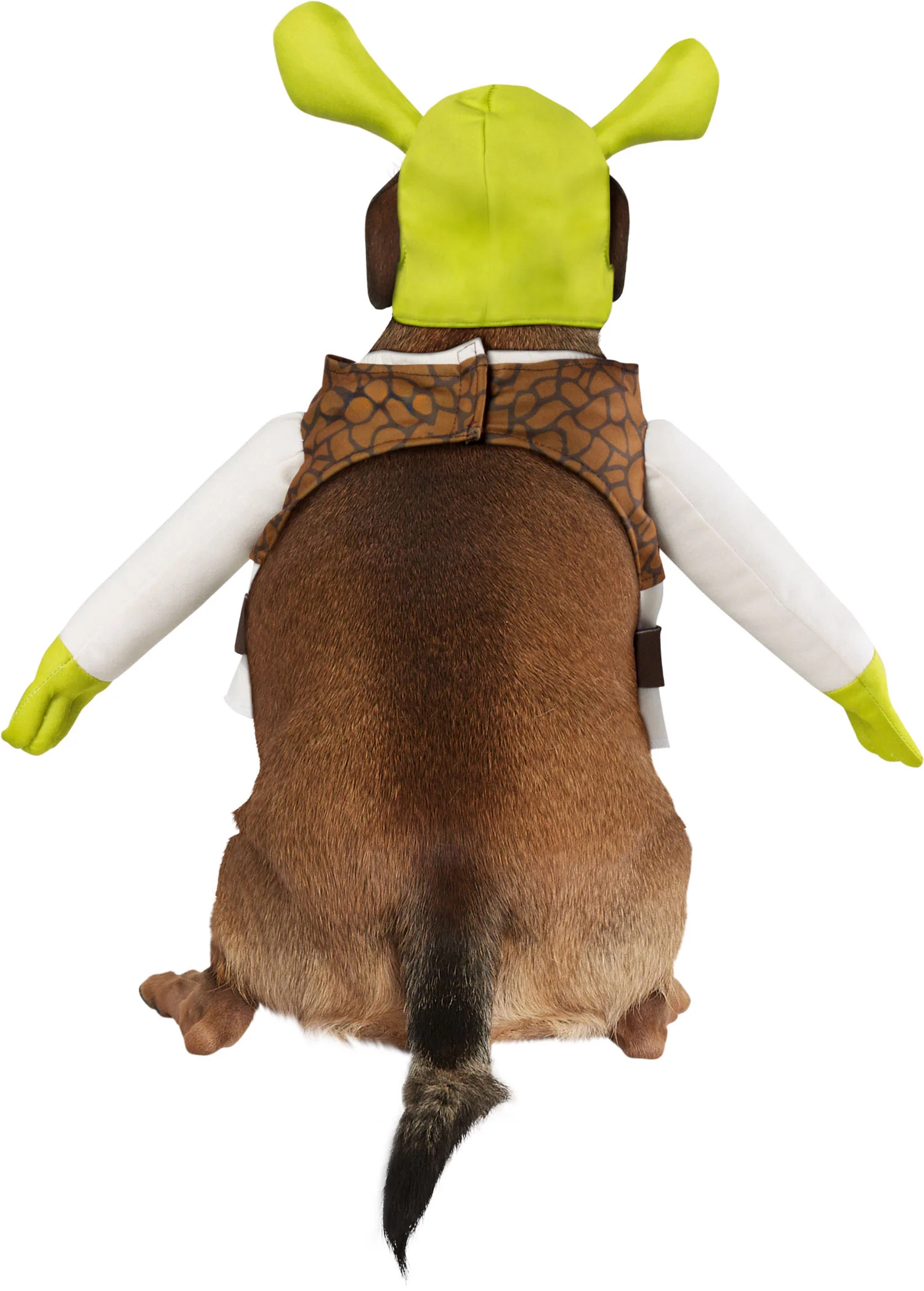 Pets Shrek Costume - Image 3
