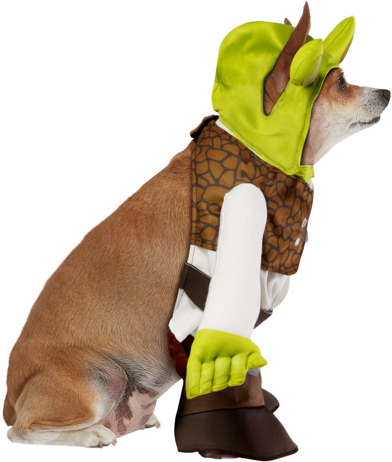 Pets Shrek Costume - Image 4