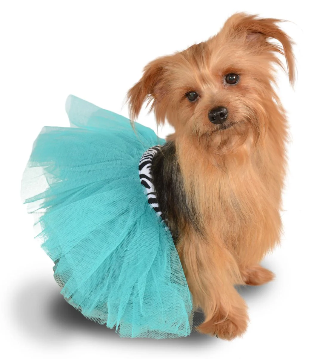 Pets Tutu - Various Colors - Image 5