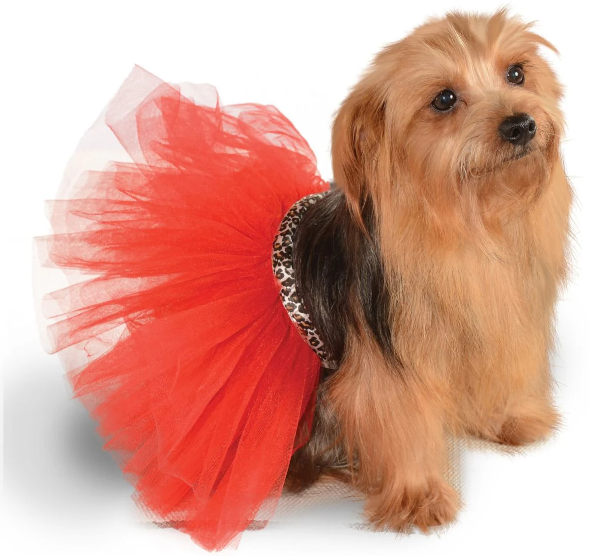 Pets Tutu - Various Colors - Image 6