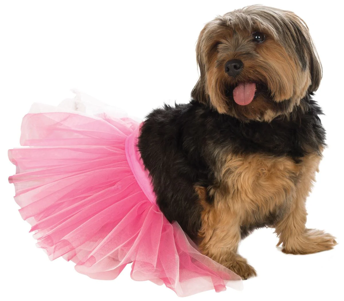 Pets Tutu - Various Colors - Image 7