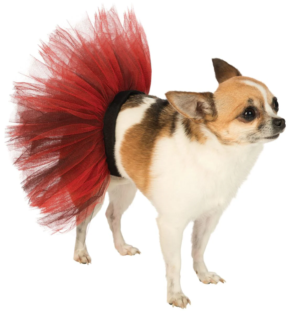 Pets Tutu - Various Colors - Image 9