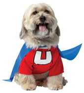 Pets Underdog Costume