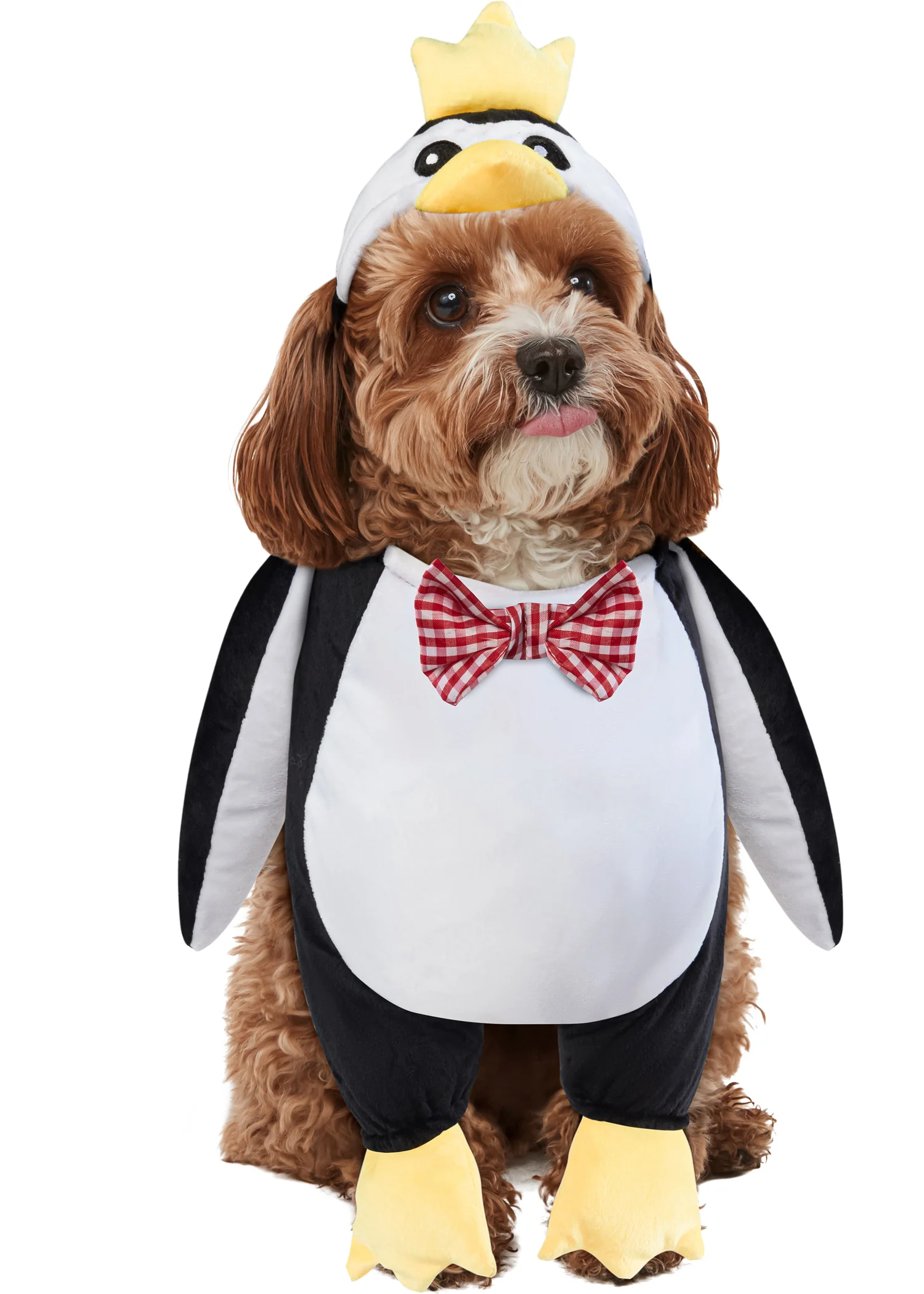 Pets Walking Penguin Costume