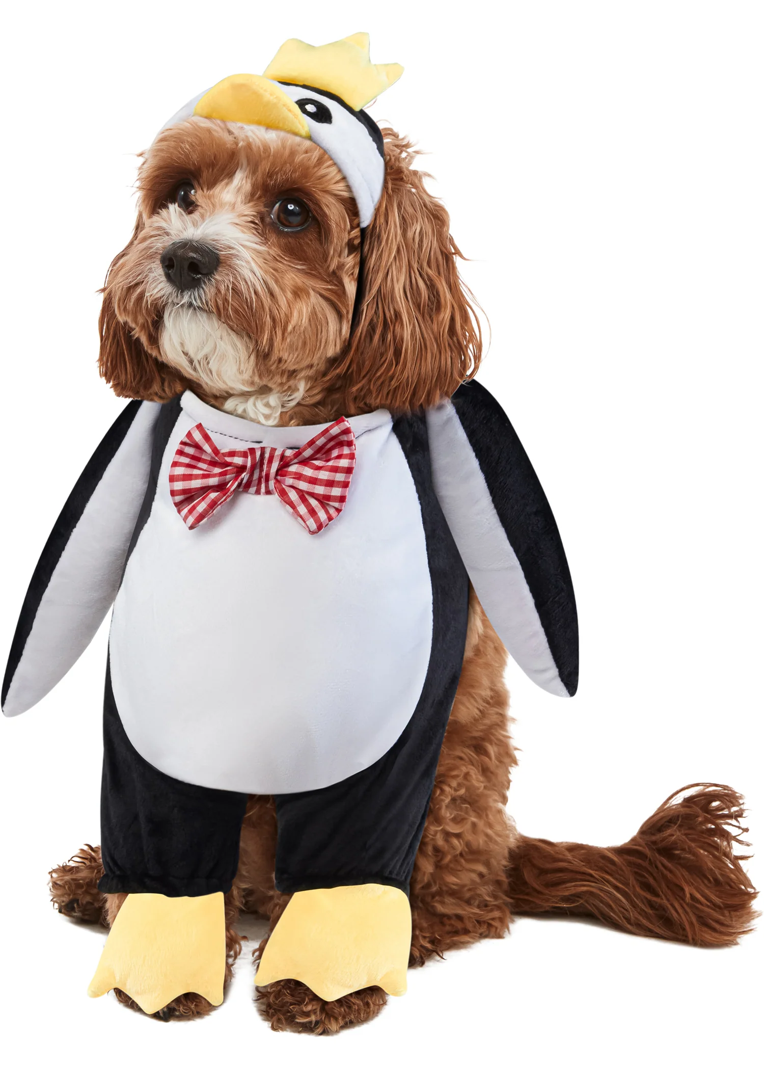 Pets Walking Penguin Costume - Image 2