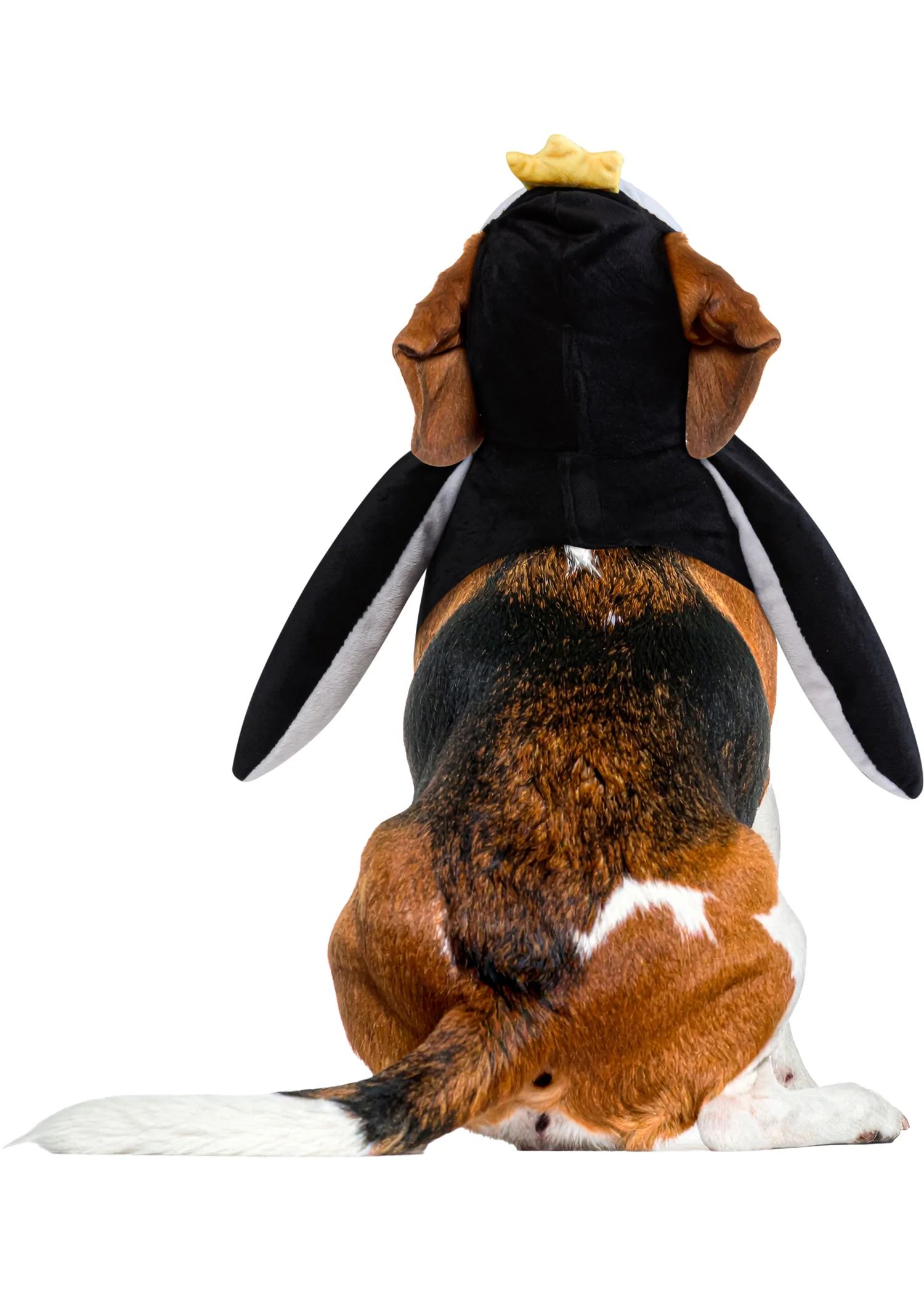 Pets Walking Penguin Costume - Image 3