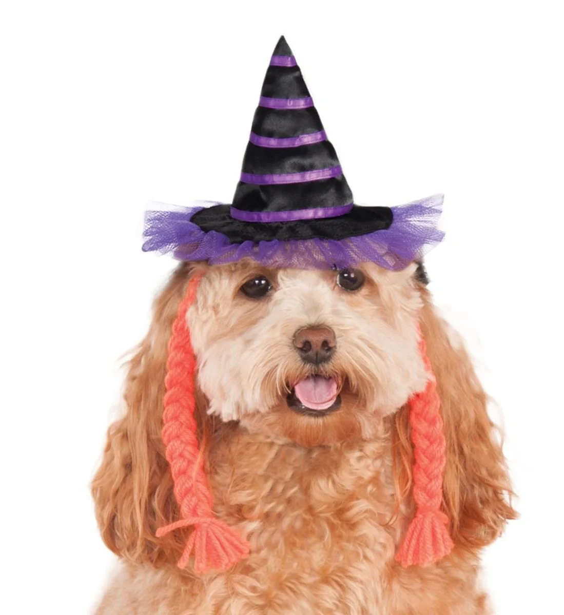 Pets Witch Hat - Various Colors - Image 3