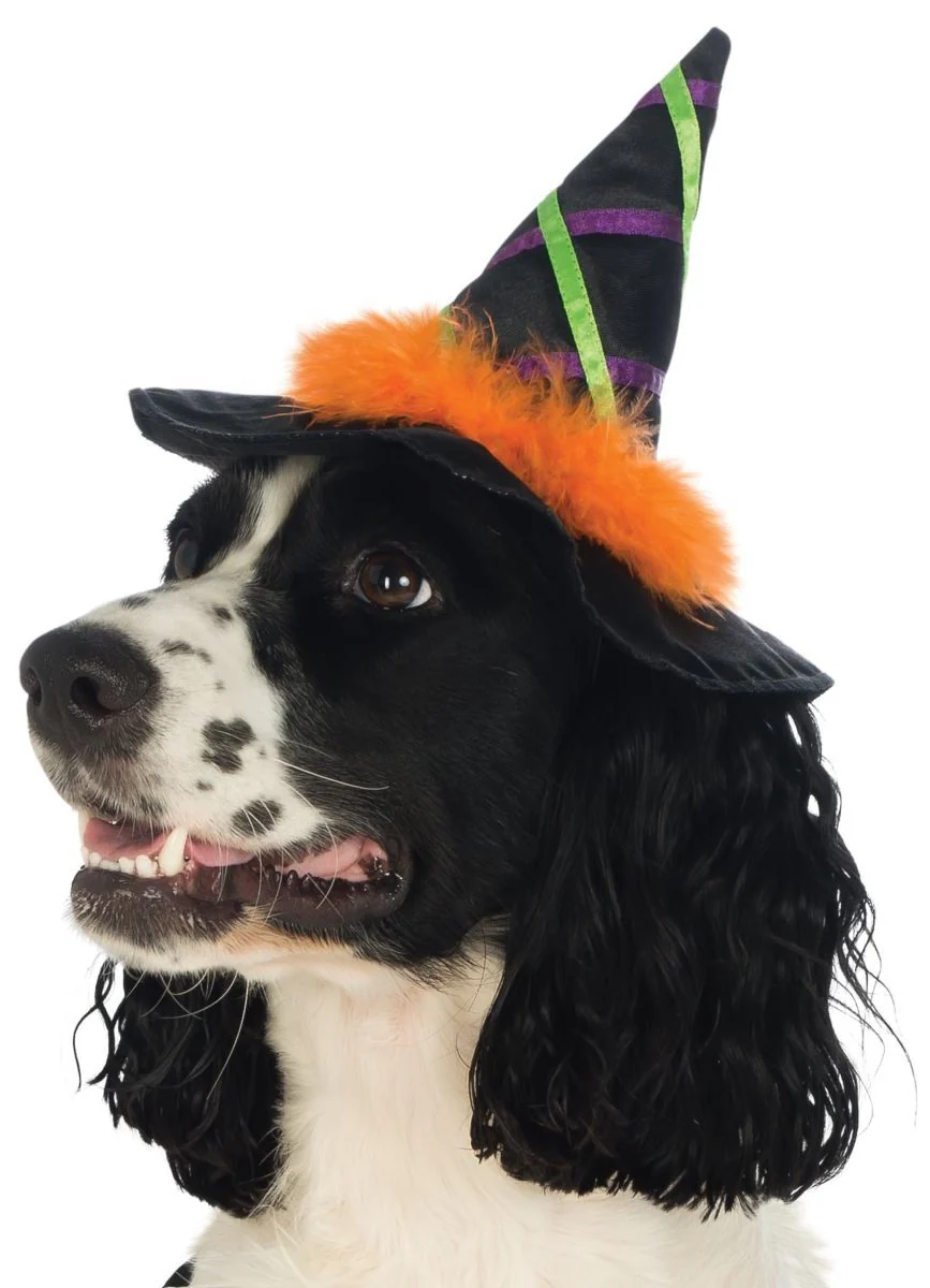 Pets Witch Hat - Various Colors - Image 4