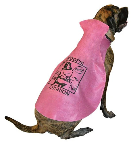 Pets Whoopie Cushion Costume - Image 2