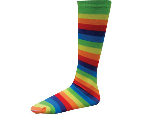 Rainbow Stripe Socks