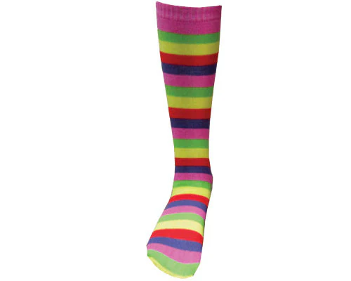 Rainbow Striped Knee Socks
