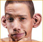 Reel F/X Ear-Ee Prosthetic