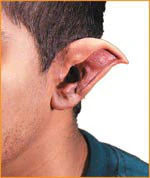 Reel F/X Evil Ears Prosthetic