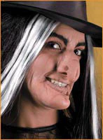 Reel F/X Faerie Tale Witch Prosthetic