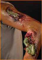 Reel F/X Snake Prosthetic
