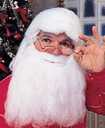 Santa Beard and Wig Set