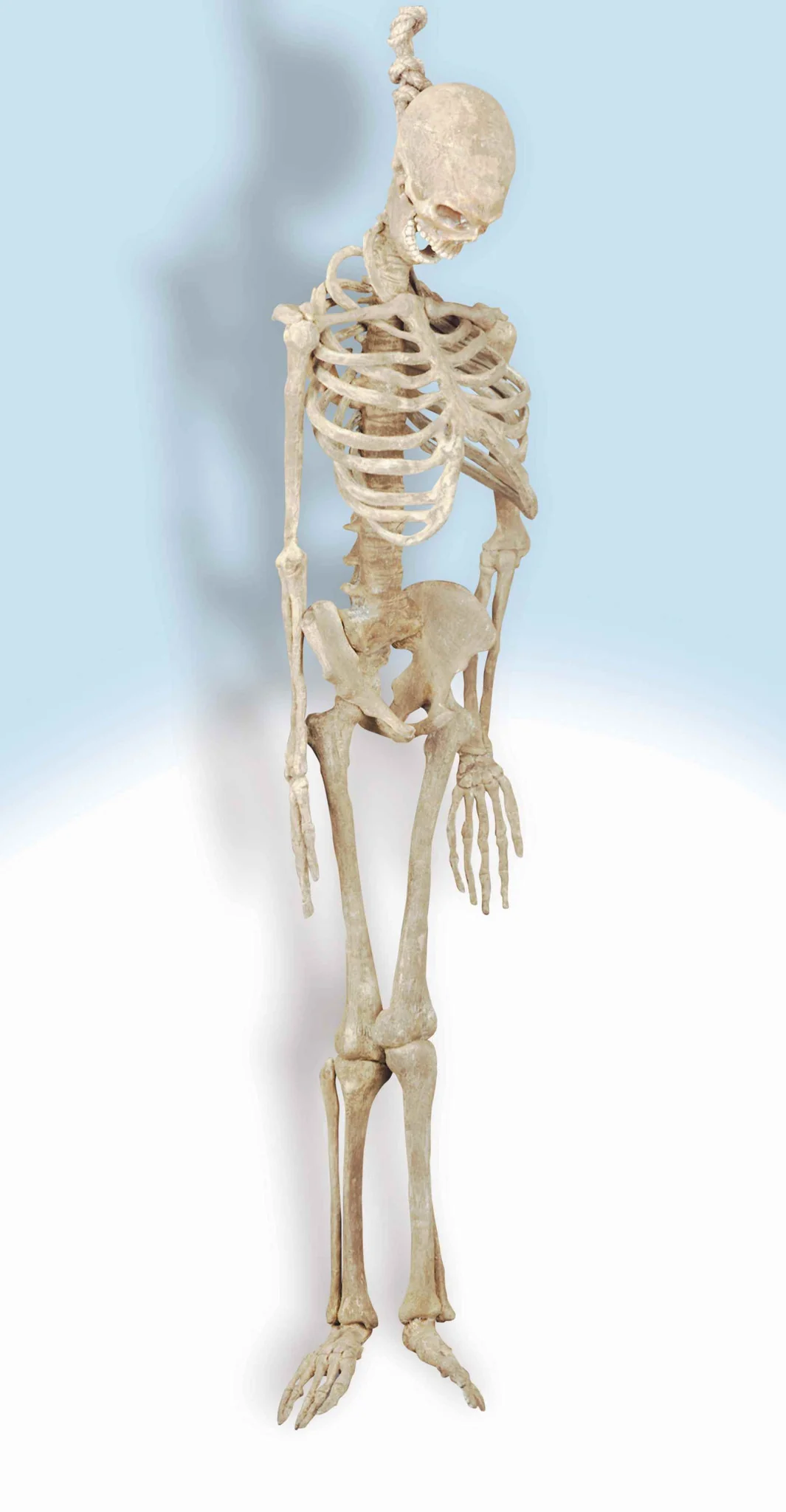 Skeleton Haunted House Hanging Props Horror Prop