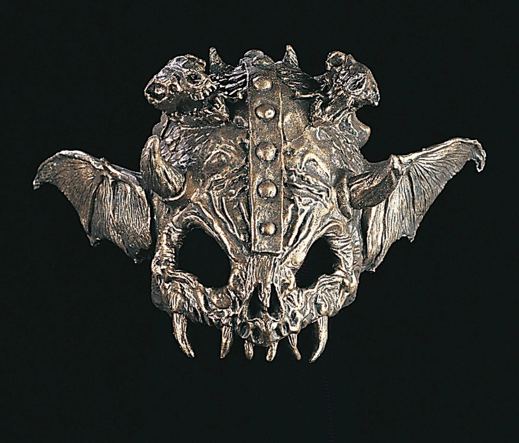 Skull Helmet