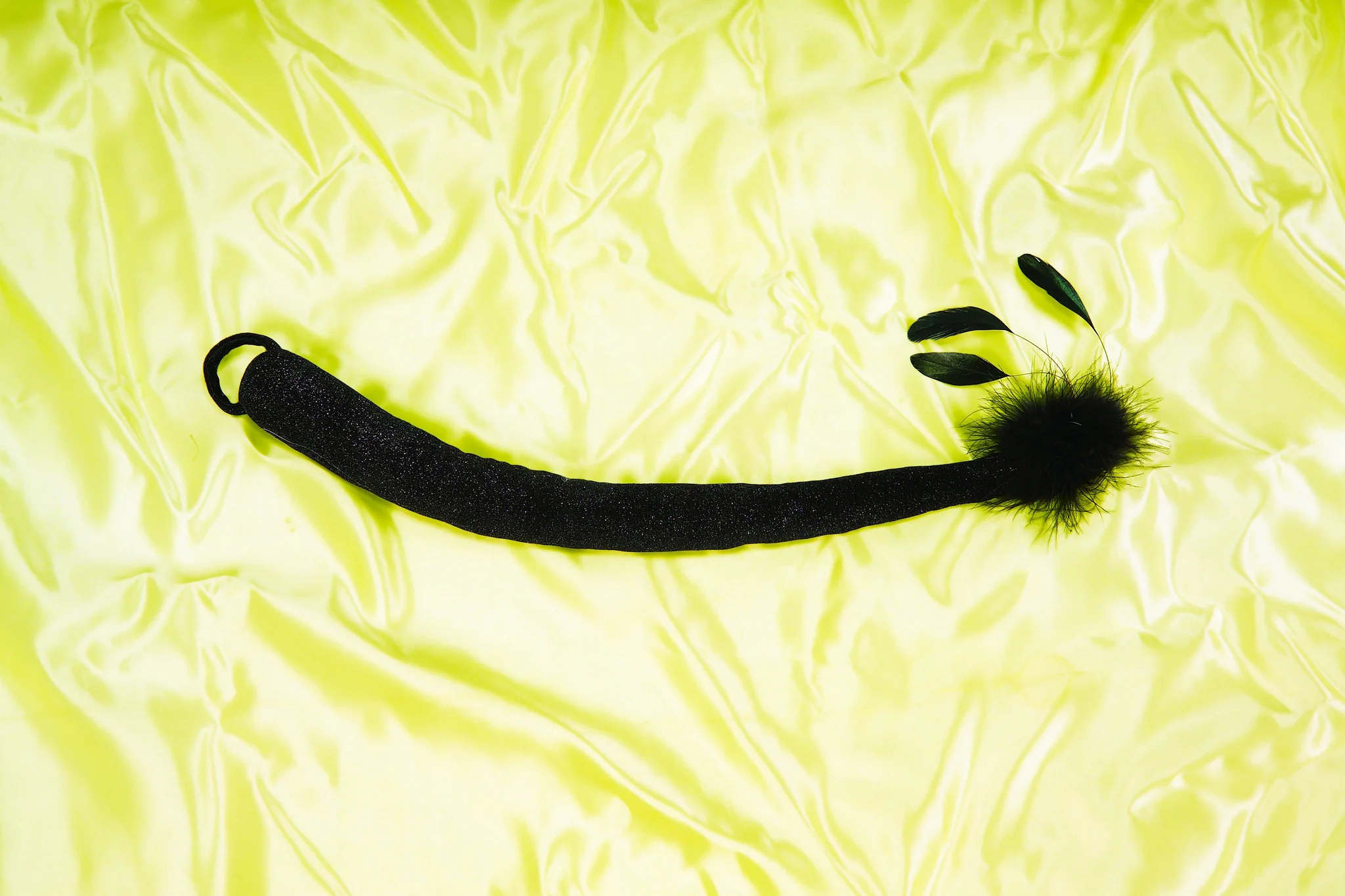 Sophisticated Cat Tail