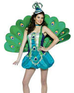 Teens Peacock Costume