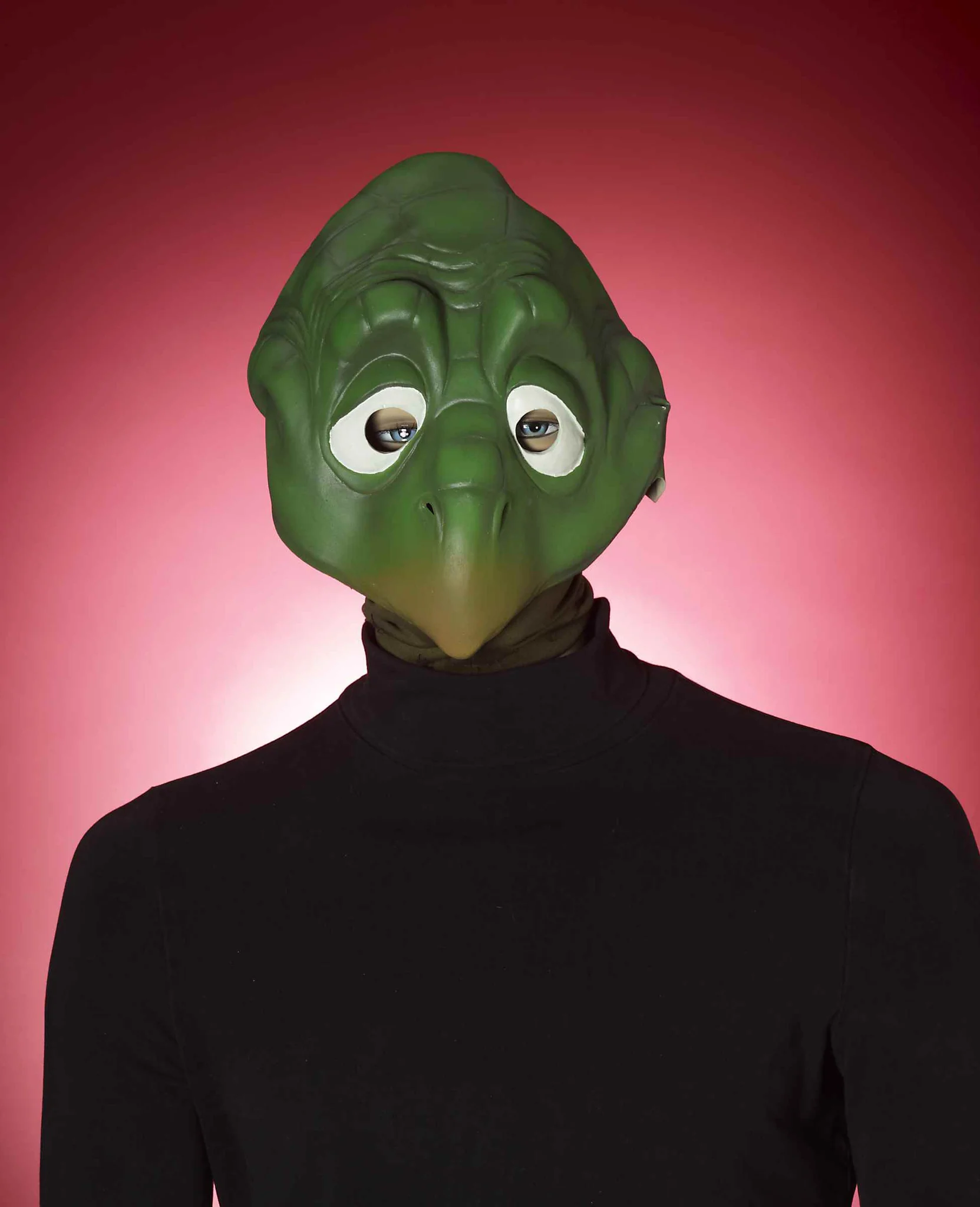 Turtle Mask