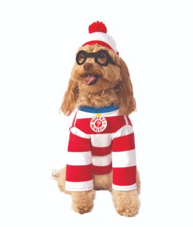 Where's Waldo Pet Costume