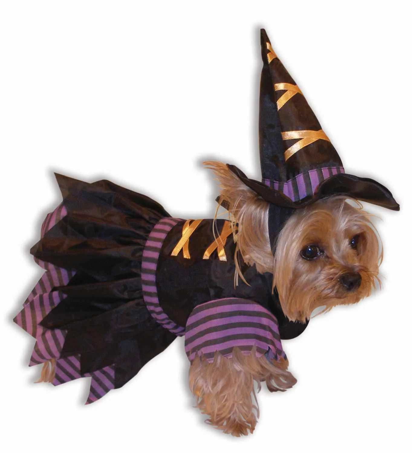 Witch Halloween Costumes for Pets Dogs or Cats