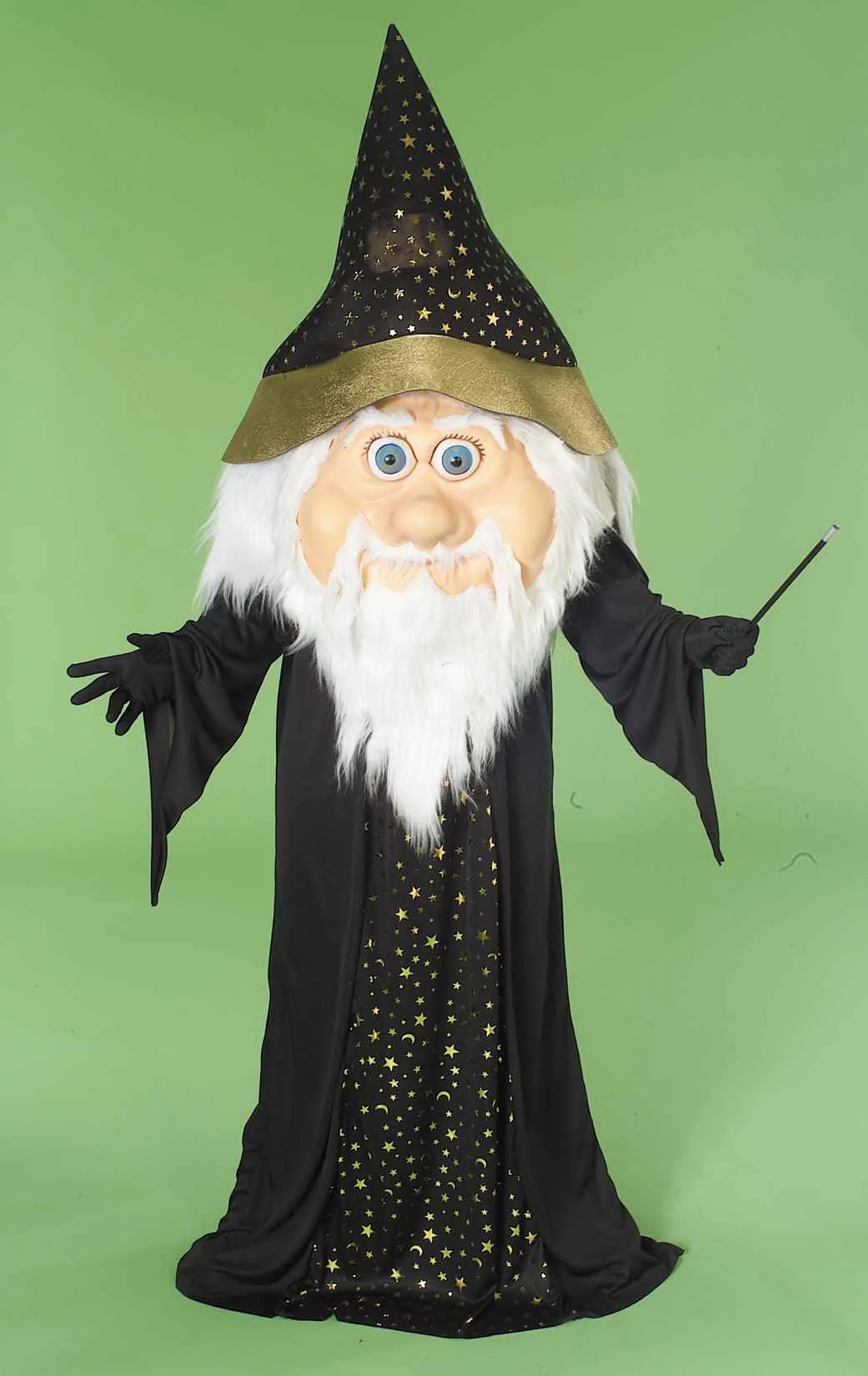 Wizard Costumes Parade Quality Adults Costume