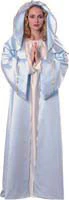 Womens Biblical Mary Costume