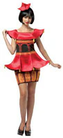Womens Chinese Pagoda Dress