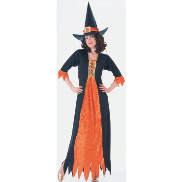 Womens Gothic Witch Costume