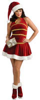 Womens Plus Size Santa Costume