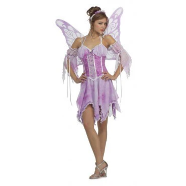 Womens/Teens Butterfly Costume