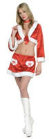 Womens/Teens Christmas Cookie Santa Costume