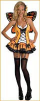 Womens/Teens Fantasy Butterfly Costume