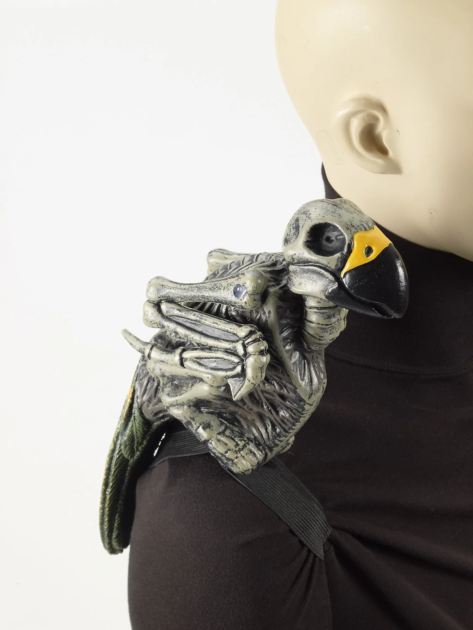 Zombie Parrot W/Shoulder Stand